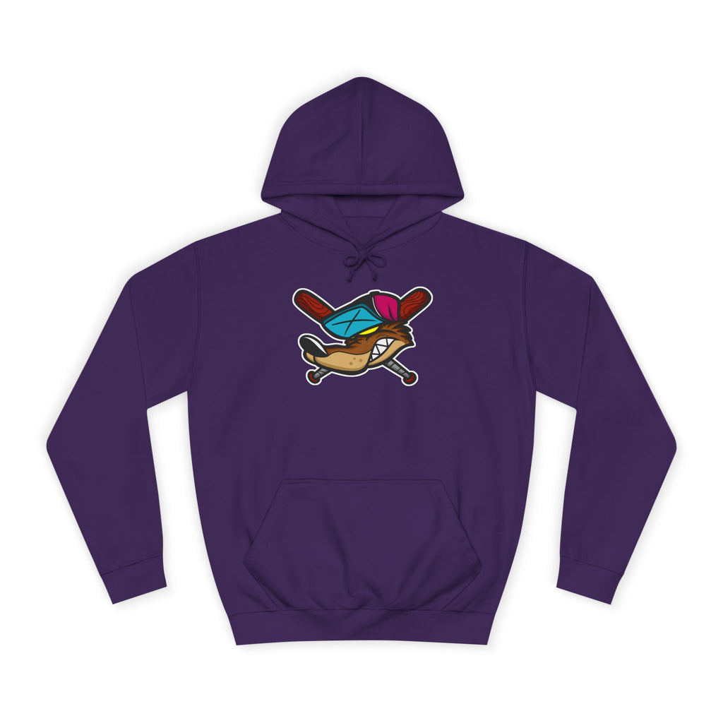 Vintage Cartoon Hoodie, Unisex College Hoodie, Casual Wear, Gift for Students, Cozy Sweatshirt, College Life Apparel
