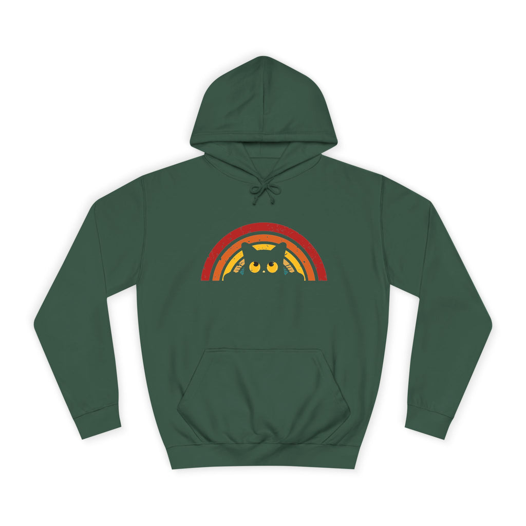 Cozy Rainbow Owl Hoodie, Cute College Sweatshirt, Unisex Gift, Fall Favorite, Nature Lover Apparel, Perfect for Students